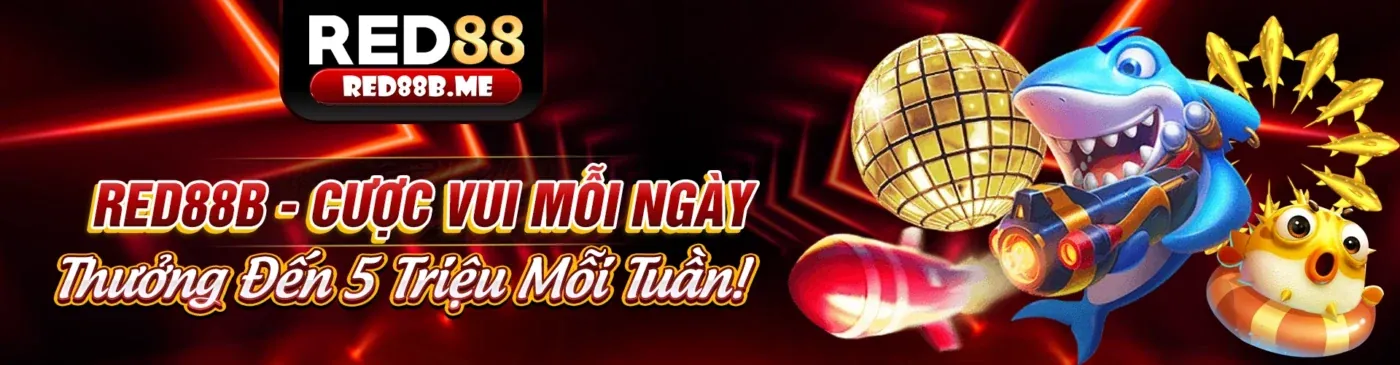 Hoàn trả tiền cược Kubet