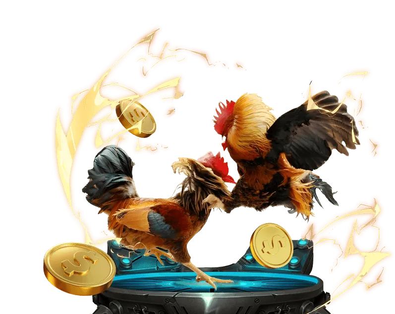 Biểu đồ các loại cookie khác nhau